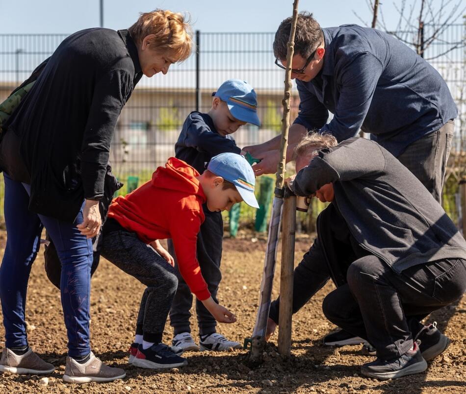 Community Garden