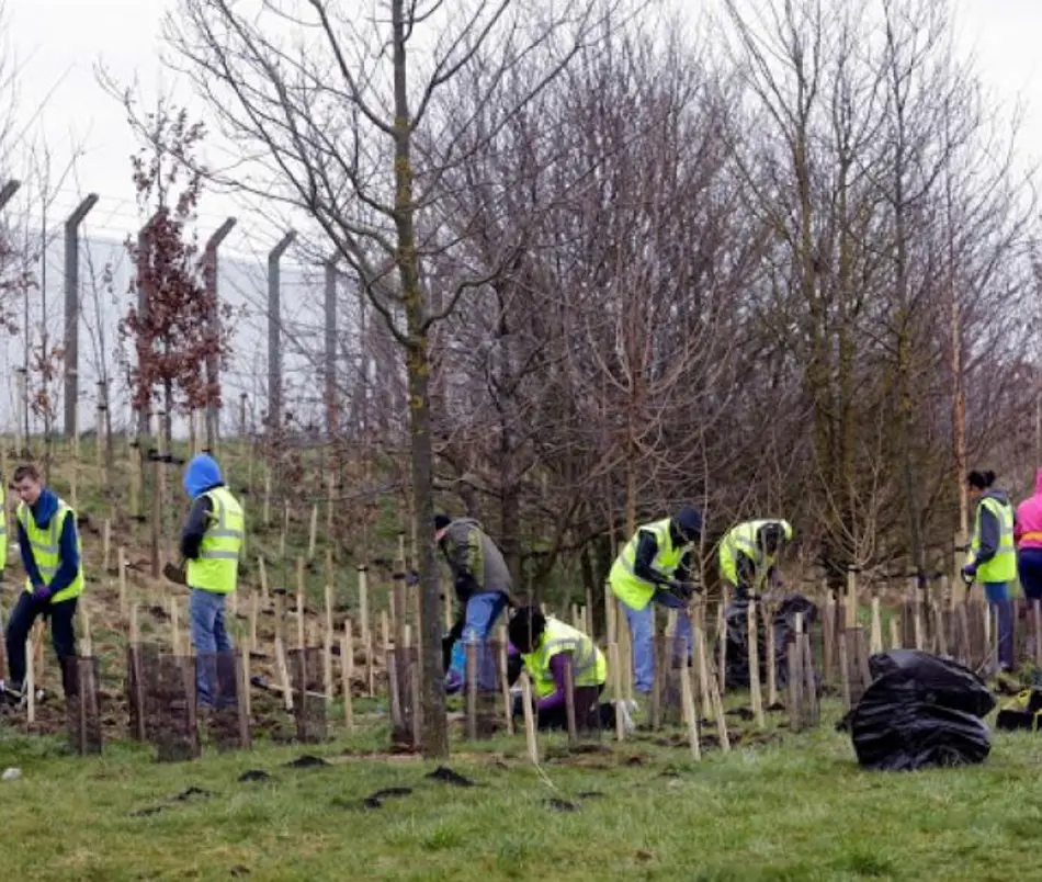 Tree-mendous planting day brings communities and generations together