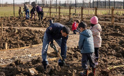 Community Garden