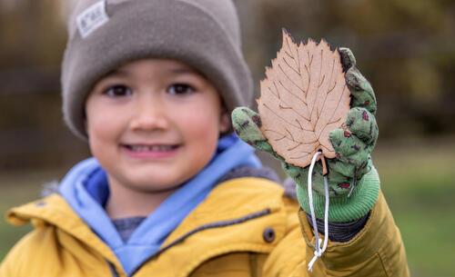 Tree planting activity at Somning Park