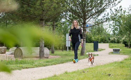 working at Alconbury, a middle aged woman, walking her dog, surrounded by greenery