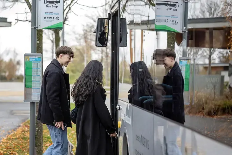 Bus