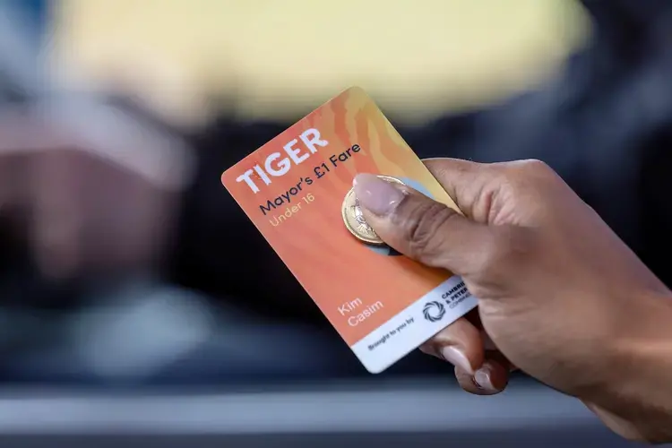 'Tiger' pass