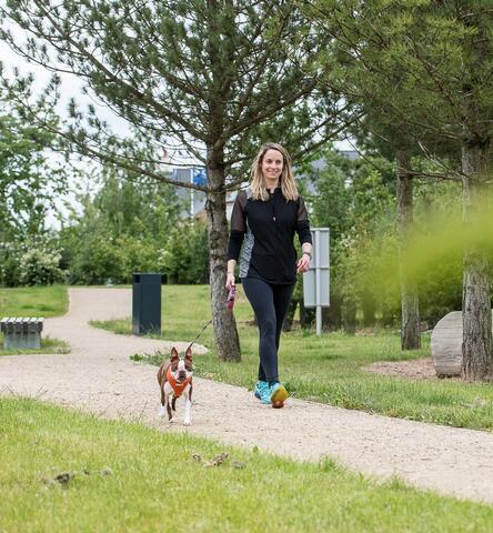 Dog Walking