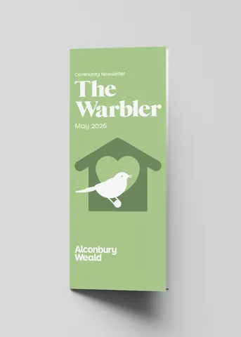 Warbler - May 2026