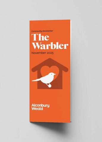 Warbler - November 2025 