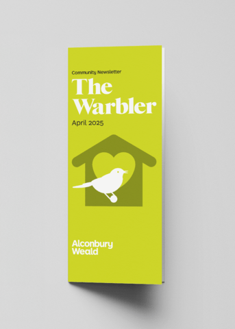 warbler - April 2025