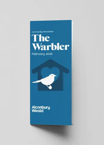Warbler - February 2026