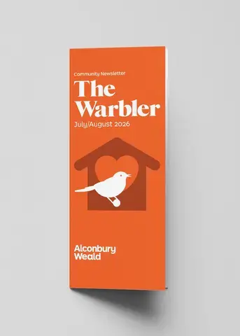 Warbler - July & August 2026