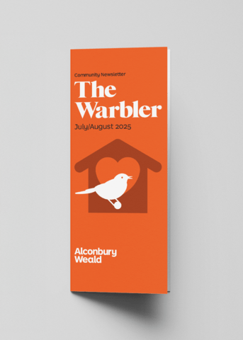 warbler - July and August 2025