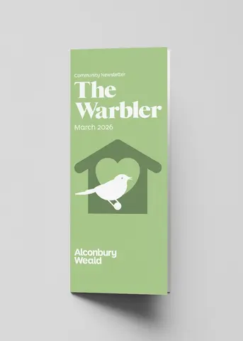 warbler - March 2026