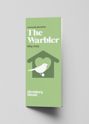 Warbler - May 2025