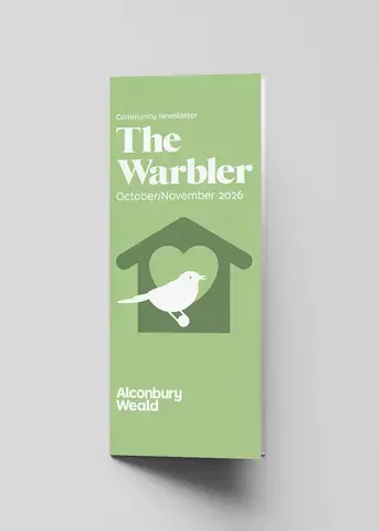 warbler - October & November 2026