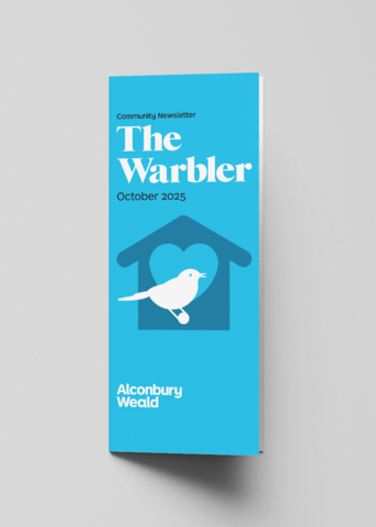 warbler - October 2025