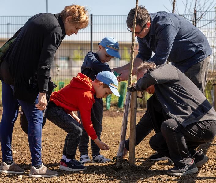 Community Garden