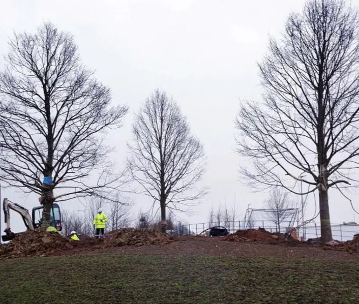 Eight tonnes trees planted in time for spring…