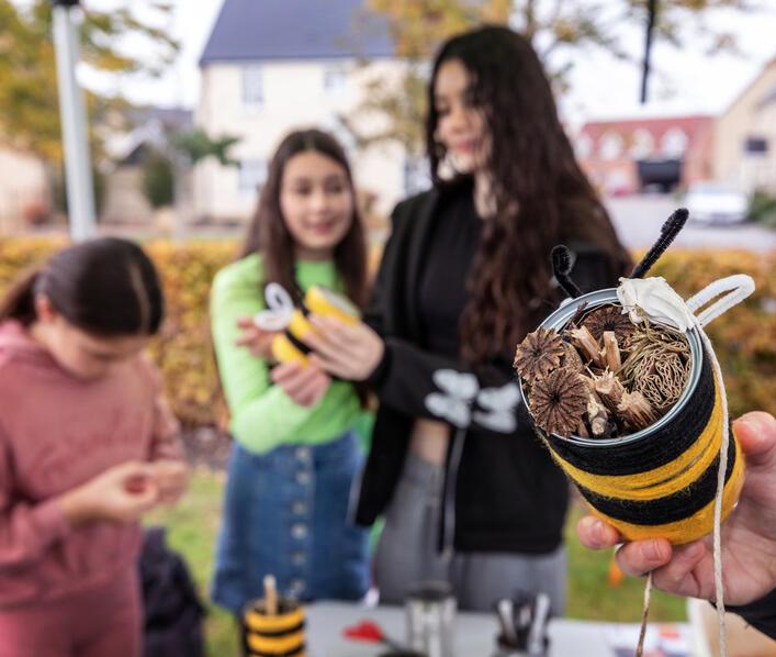 Build a Bug Hotel