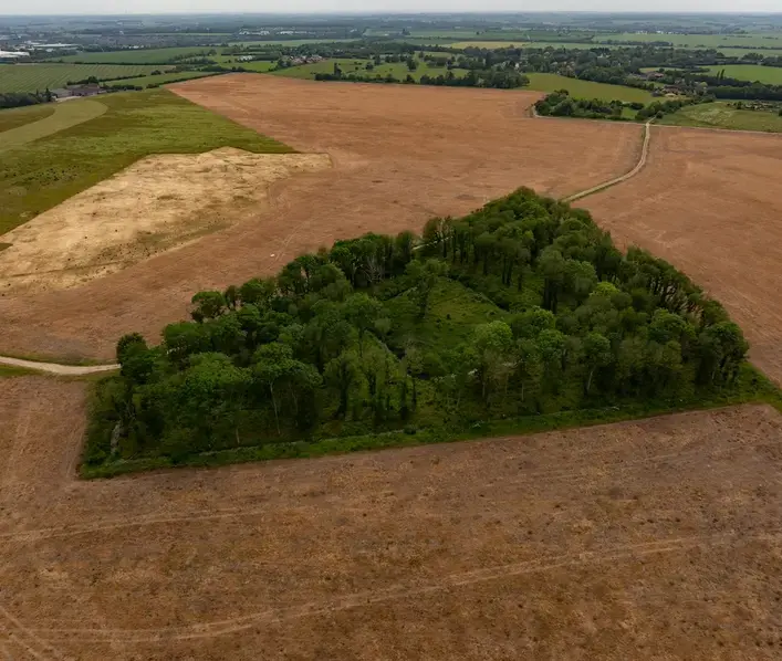 Prestley Wood 