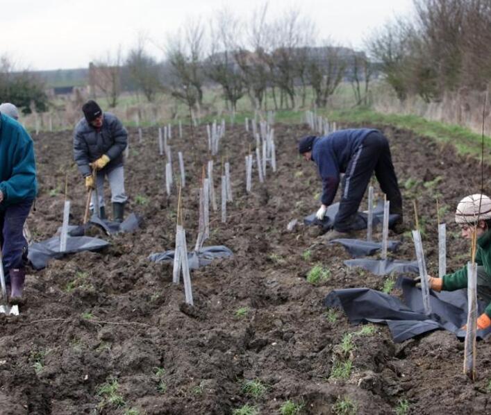 Diamond Jubilee commemorated with community woodland Diamond Jubilee commemorated with community woodland