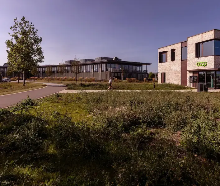 The Co-Op