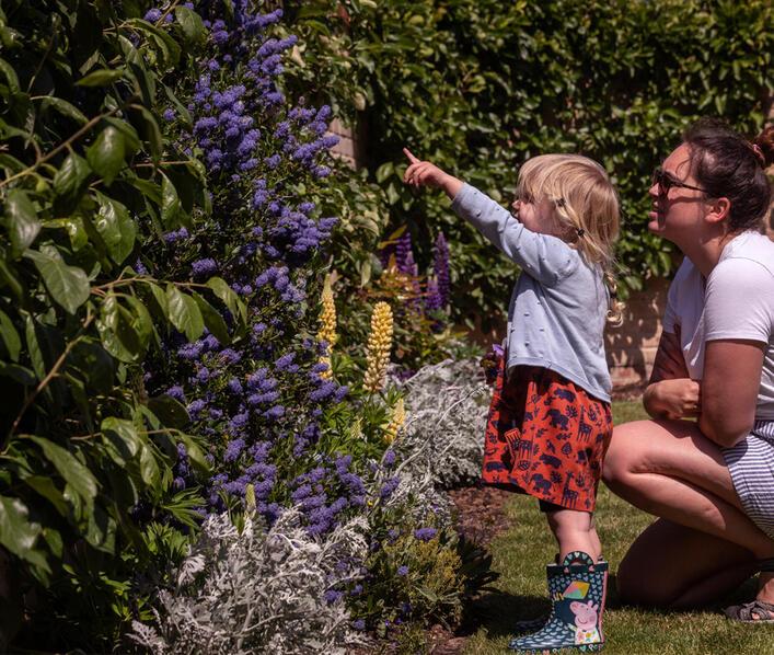 Open gardens 