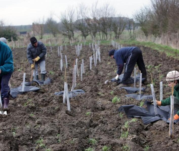 Diamond Jubilee commemorated with community woodland 