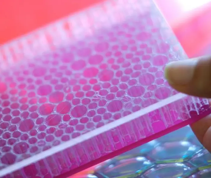 Doing business in Turkey