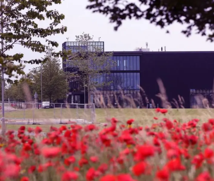 Paddington 2 under the stars at Alconbury Weald - 11 August