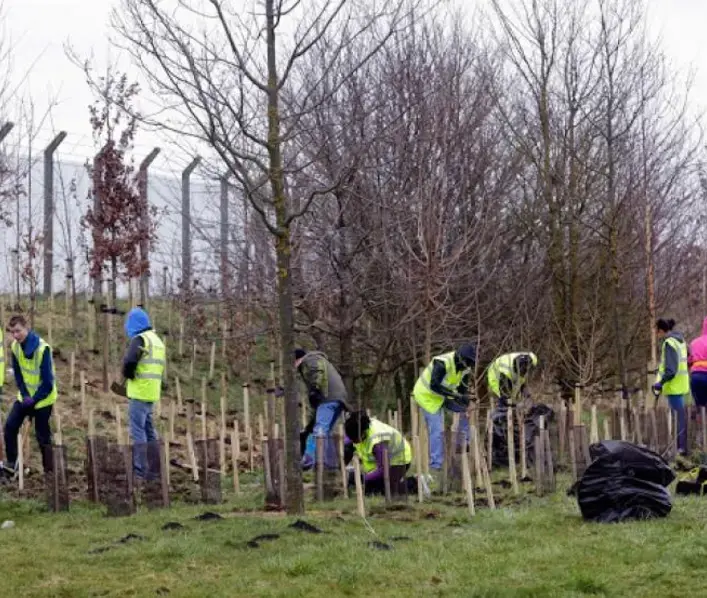 Tree-mendous planting day brings communities and generations together