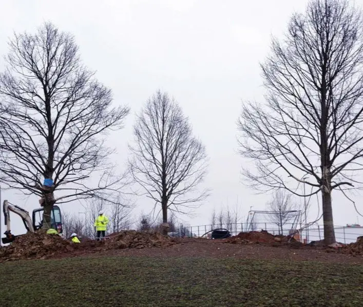 Eight tonnes trees planted in time for spring…